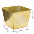 Pflanzgefäß Metall mit glitzerndem Tannenmotiv 18cm | Floristik24.de