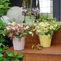 Topf aus Metall, Frühlingsdeko, Pflanzgefäß mit Henkeln Gelb Shabby Chic Ø18cm H17,5cm | Floristik24.de
