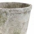 Floristik24 Blumentopf Antik Look Übertopf mit Patina Beton Ø17,5cm H14cm