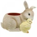 Floristik24 Osterdeko zum Bepflanzen, Hase und Küken, Frühling, Pflanztopf H24cm L30cm