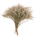 Floristik24 Trockenblume Strandflieder Bund Statice Natur 1kg