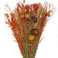 Floristik24 Trockenblumen Bouquet Orange-Mix 42cm