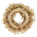 Trockenblumenkranz gebleicht Deko Kranz Creme Ø25cm | Floristik24.de