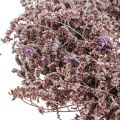 Trockenblumenkranz Strandflieder Lavendel Natur Ø30cm | Floristik24.de