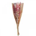 Trockenblumenstrauß Rosa Weiß Phalaris Sterndolde 80cm 160g