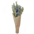 Floristik24 Trockenblumenstrauß Strauß Wiesenblumen Blau H50cm 100g