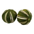 Limetten ganz Grün 500g | Floristik24.de
