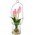 Floristik24 Tulpe im Glas Rosa H22,5cm 1St