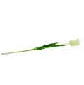 Floristik24 Tulpe künstlich Weiß 70cm