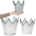 Übertopf Krone Metall Deko Zink Ø21,5/19,5/17cm 3er-Set | Floristik24.de