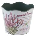 Floristik24 Übertopf Kunststoff Blumentopf Sommer Lavendel Ø16,5cm H13,5cm