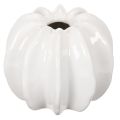 Floristik24 Kürbis Keramikvase Weiß Dekoration für Zuhause 15cm