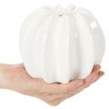 Kürbis Keramikvase Weiß Dekoration für Zuhause 15cm | Floristik24.de
