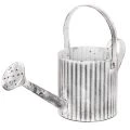 Floristik24 Vintage-Pflanzkanne Ø17cm, Deko Gießkanne, Metall Übertopf Shabby Chic