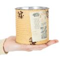 Blumentopf Dose Vintage Look mit Schriftzug zur Dekoration im Innenbereich 11cm 3St | Floristik24.de