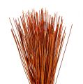 Floristik24 Vlei Reed 400g Orange