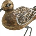 Vogel-Skulptur aus Holz, Baddeko, Wasservogel H22cm
