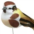 Frühlingsdeko, Vögeln am Draht, künstlicher Vogel Braun, Weiß H3cm 12St