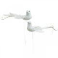 Weiße Tauben, Hochzeit, Deko-Tauben, Vögel am Draht H6cm 6St