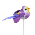 Floristik24 Vogel am Draht bunt sort. 7cm 12St