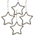 Floristik24 Weihnachtsdeko Stern Ulme Sterne zum Aufhängen Weiß gewaschen 20cm 4St