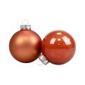 Floristik24 Weihnachtskugeln Glas Christbaumkugeln Rotbraun Ø6,5cm 24St