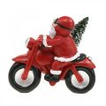 Floristik24 Deko-Figur Weihnachtsmann auf Motorrad mit Tanne 19,5×13×16cm