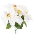 Floristik24 Kunstblume Weihnachtsstern weiß Große Blüte Dekopflanze 40cm