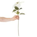 Weihnachtsstern künstlich Weiß Großer Blütenzweig Dekoration 65cm 2St | Floristik24.de