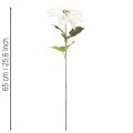 Weihnachtsstern künstlich Weiß Großer Blütenzweig Dekoration 65cm 2St | Floristik24.de