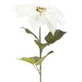 Weihnachtsstern künstlich Weiß Großer Blütenzweig Dekoration 65cm 2St | Floristik24.de