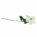 Weihnachtsstern Kunstblume Weiß 67cm | Floristik24.de