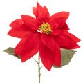 Floristik24 Kunstblume Weihnachtsstern Rot Einzelstiel Dekoration 82cm