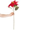 Kunstblume Weihnachtsstern Rot Einzelstiel Dekoration 82cm | Floristik24.de