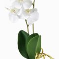 Floristik24 Weiße Orchidee am Pick Künstlich Phalaenopsis Real Touch 39cm