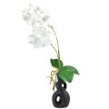Floristik24 Weiße Orchidee am Pick Künstlich Phalaenopsis Real Touch 39cm