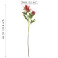 Künstlicher Distelzweig rot für Dekoration 67cm 3St | Floristik24.de