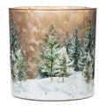 Windlicht Glas mit Tannenwald