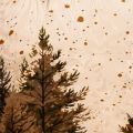 Windlicht Glas mit Winterwald