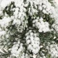 Winterdeko Tannenbaum in Grün Weiß Ø7cm H14cm 4St | Floristik24.de