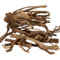 Floristik24 Deko Holzäste Wurzelstöcke naturgetrocknet 18cm 500g