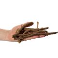 Deko Holzäste Wurzelstöcke naturgetrocknet 18cm 500g | Floristik24.de