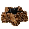 Floristik24 Tannenzapfen-Pflanztopf Stern 30cm