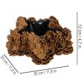 Tannenzapfen-Pflanztopf Stern 30cm | Floristik24.de