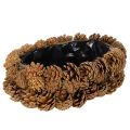 Floristik24 Pflanzschale aus Tannenzapfen Oval 30cm