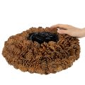 Zapfenschale rund als Pflanzgefäß 38cm Zapfentopf rund Naturbraun aus Tannenzapfen 38cm 14cm | Floristik24.de