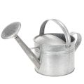 Floristik24 Zink-Gießkanne Vintage Deko 27cm - Pflanzkanne für Garten und Terrasse, Metall Blumenkübel