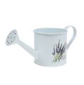 Floristik24 Zinkgießkanne Ø10,5cm H10cm mit Lavendel