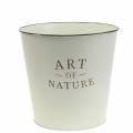 Floristik24 Blumentopf Zink Art of Nature Creme Ø17,5cm H15cm