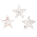 Floristik24 Birkensterne Mini 2cm - 2,5cm weißgewaschen 150 St